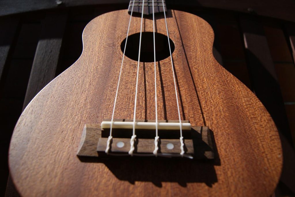 ukulele, music, strings-516502.jpg